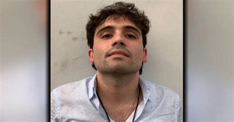 el chapo son arrested released